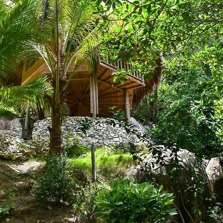 Ecohabs - Bosques Del Tayrona Villa Jordan  Exteriör bild