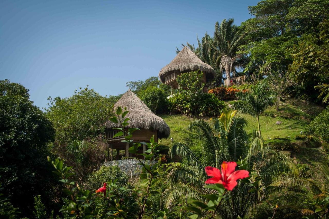 Ecohabs - Bosques Del Tayrona Villa Jordan  Exteriör bild