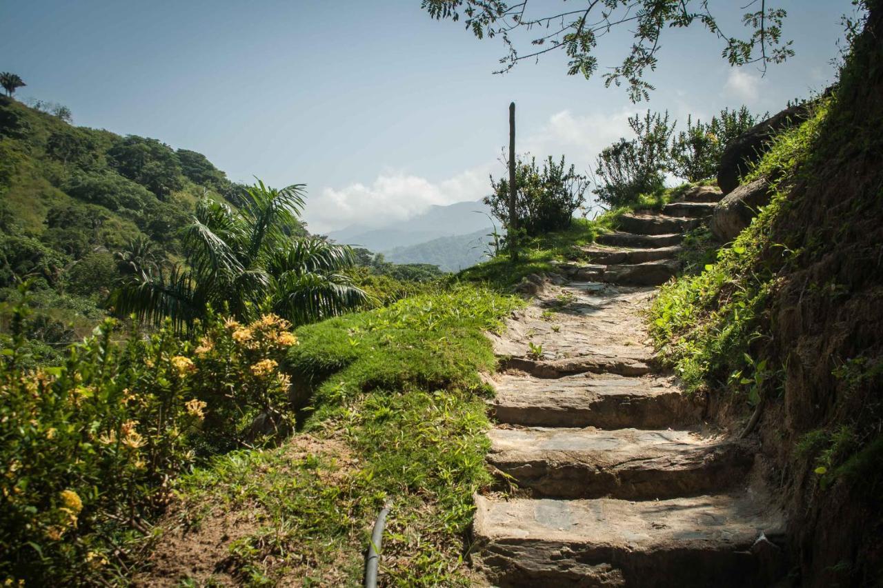 Ecohabs - Bosques Del Tayrona Villa Jordan  Exteriör bild