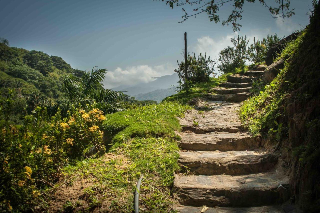 Ecohabs - Bosques Del Tayrona Villa Jordan  Exteriör bild