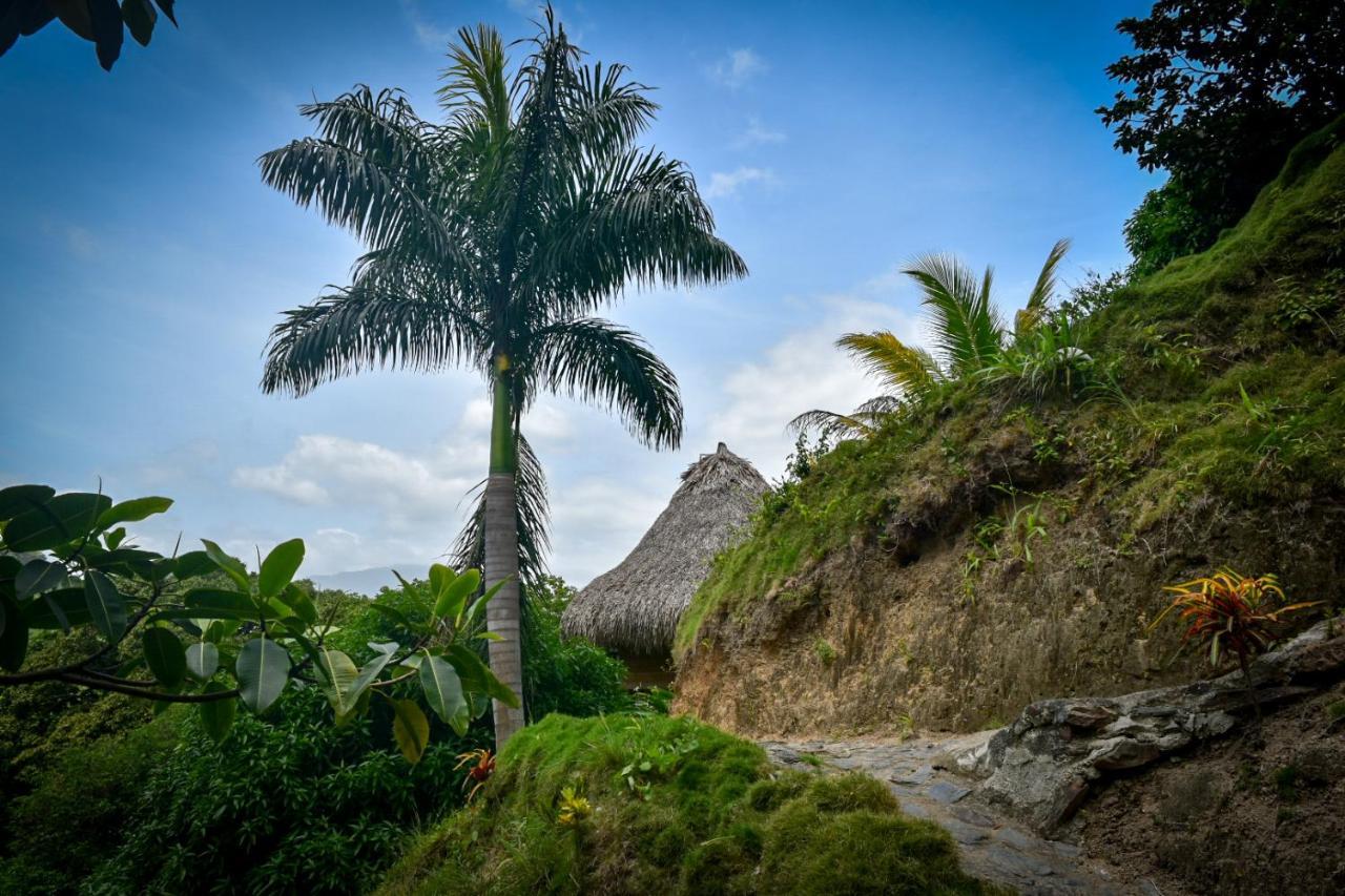 Ecohabs - Bosques Del Tayrona Villa Jordan  Exteriör bild