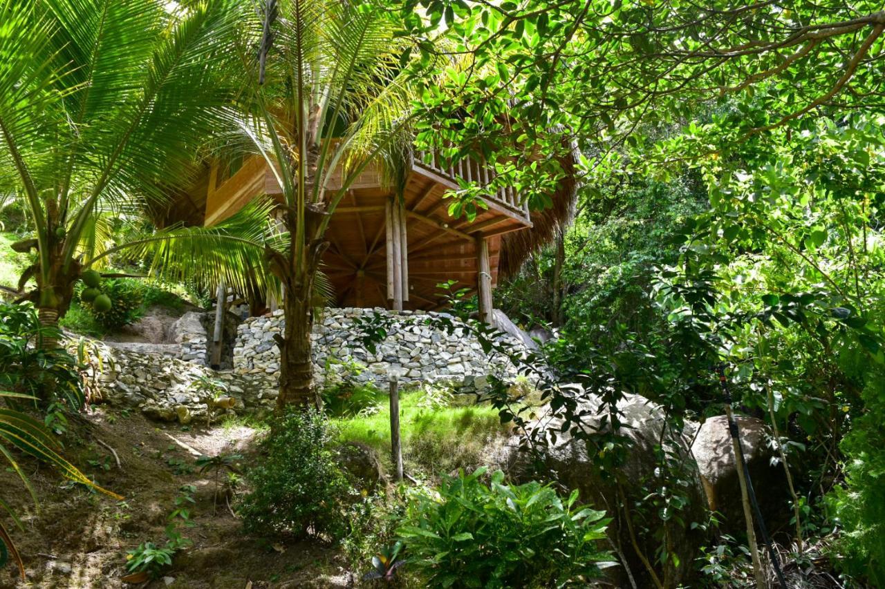 Ecohabs - Bosques Del Tayrona Villa Jordan  Exteriör bild