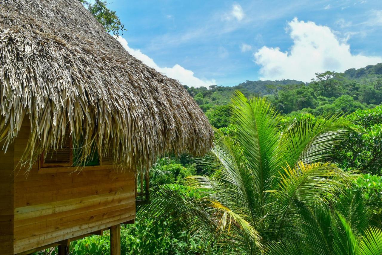 Ecohabs - Bosques Del Tayrona Villa Jordan  Exteriör bild