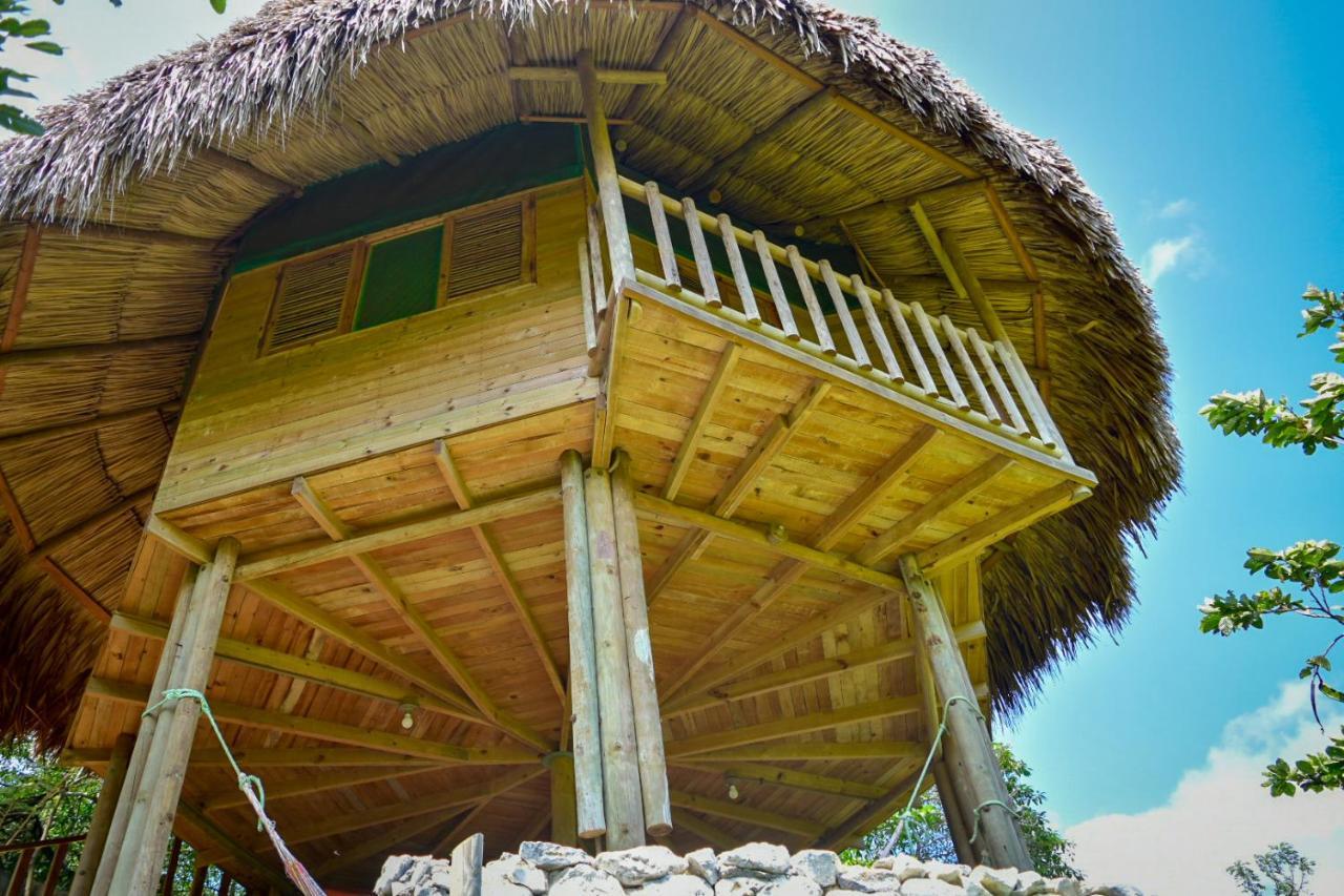 Ecohabs - Bosques Del Tayrona Villa Jordan  Exteriör bild