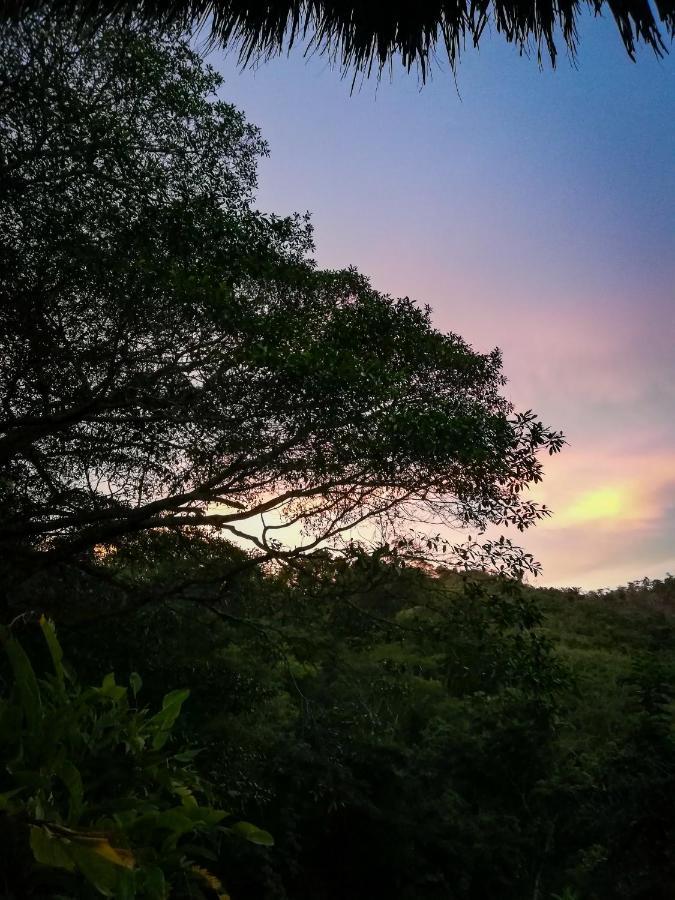 Ecohabs - Bosques Del Tayrona Villa Jordan  Exteriör bild