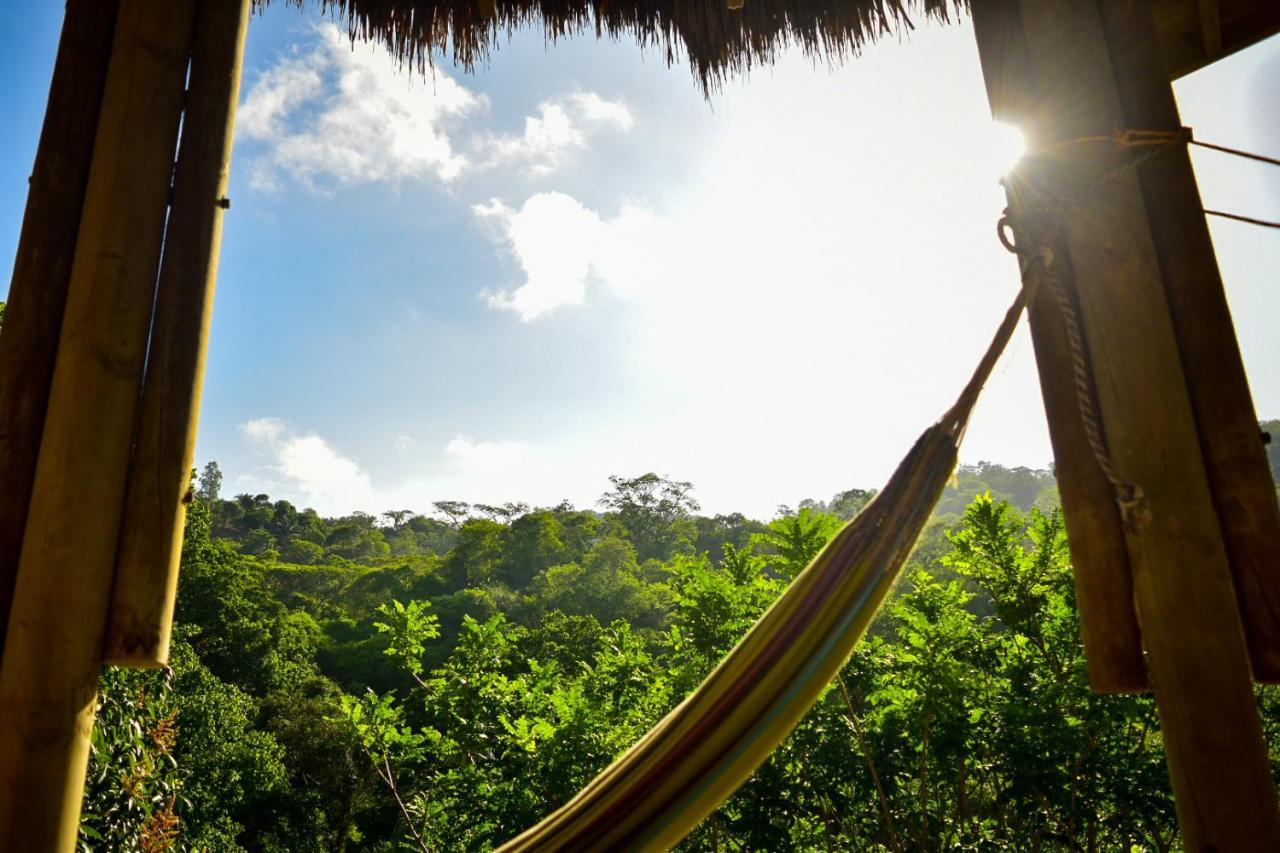 Ecohabs - Bosques Del Tayrona Villa Jordan  Exteriör bild