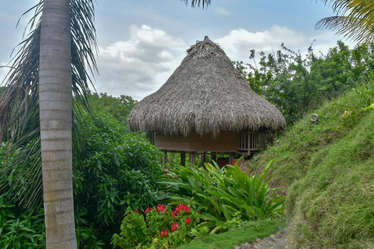 Ecohabs - Bosques Del Tayrona Villa Jordan  Exteriör bild