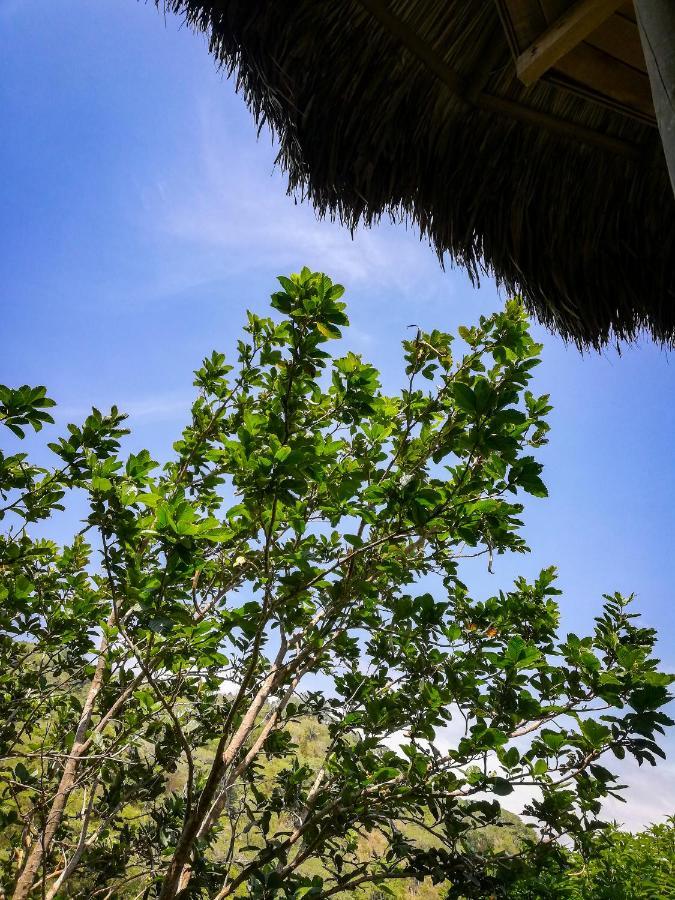 Ecohabs - Bosques Del Tayrona Villa Jordan  Exteriör bild