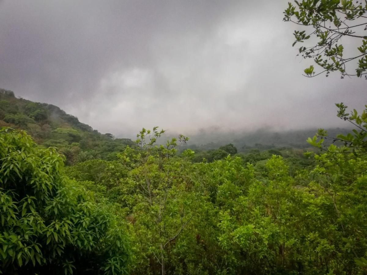 Ecohabs - Bosques Del Tayrona Villa Jordan  Exteriör bild